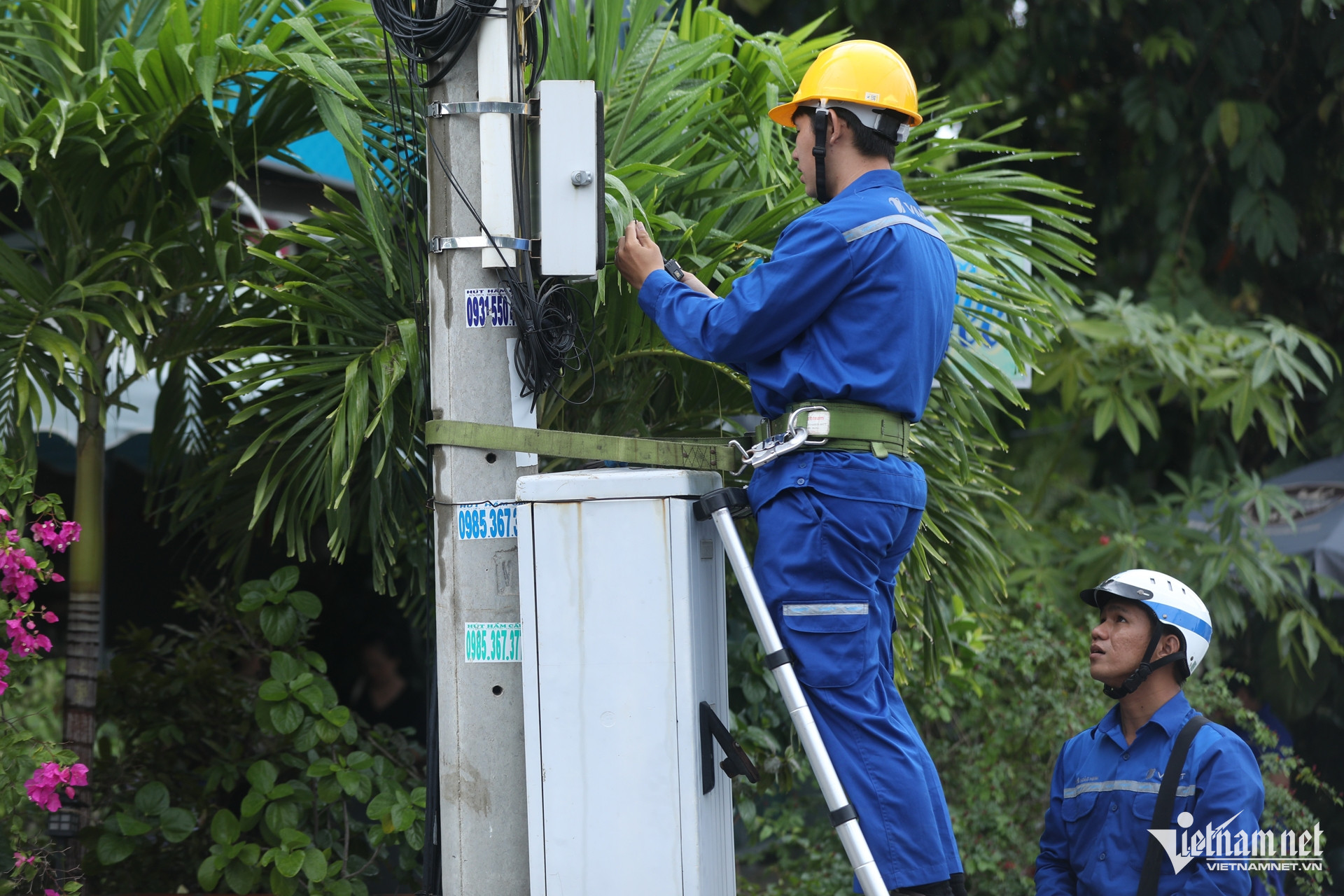 Sửa chữa, hợp lý hóa mạng viễn thông tại khu vực phố Tôn Đức Thắng, Thịnh Hào, Tôn Đức Thắng, An Trạch, Đoàn Thị Điểm, Bích Câu, Đặng Trần Côn, Cát Linh, Thông Phong, Lương Sử C.